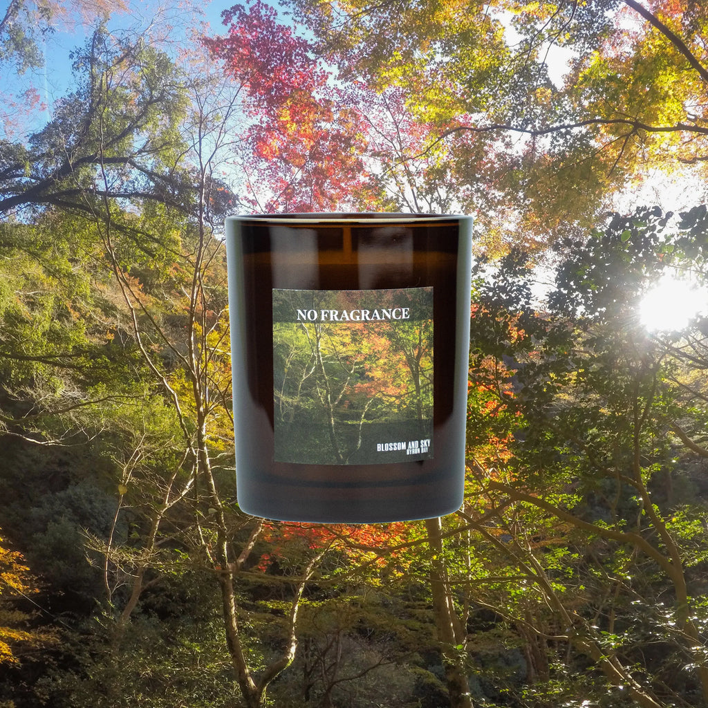 Terra Verde Candle - No Fragrance