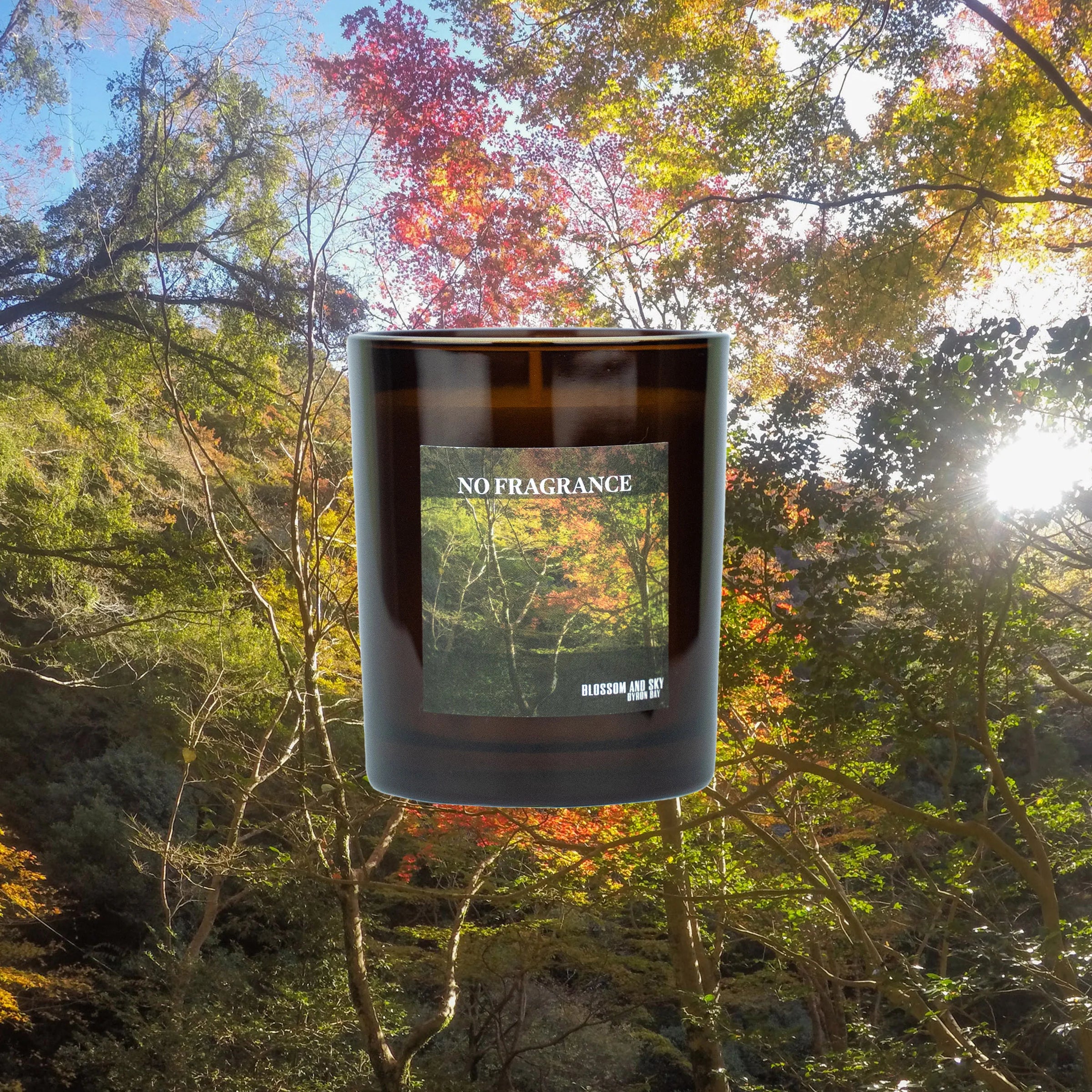 Terra Verde Candle - No Fragrance